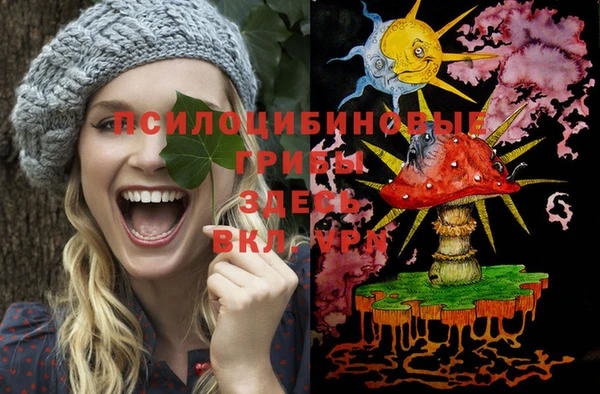 дмт Аркадак