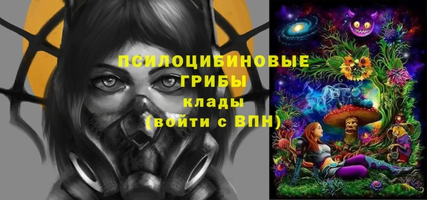 дмт Аркадак