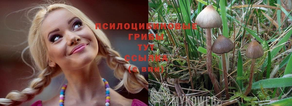 дмт Аркадак