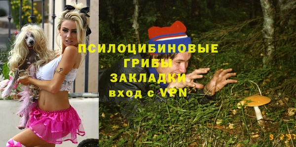 тгк Елабуга