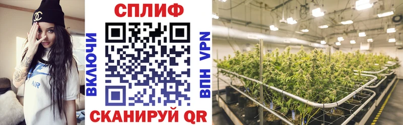 блэк спрут ссылка  Гдов  МАРИХУАНА план  где можно купить  